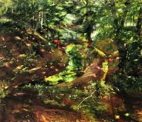 Forest Interior in Bernried